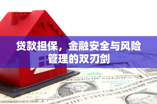 宝应县贷款担保，金融安全与风险管理的双刃剑