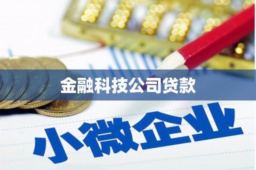宝应县金融科技公司贷款
