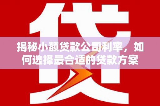 宝应县揭秘小额贷款公司利率，如何选择最合适的贷款方案