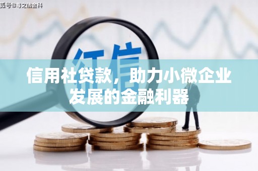 宝应县信用社贷款，助力小微企业发展的金融利器