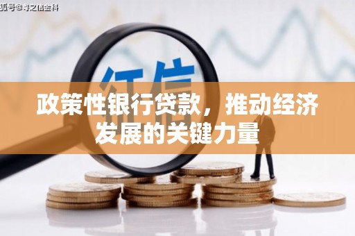 宝应县政策性银行贷款，推动经济发展的关键力量