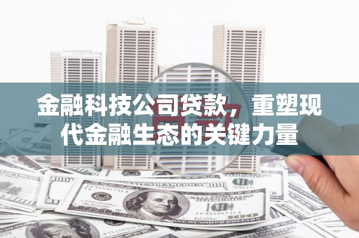 宝应县金融科技公司贷款，重塑现代金融生态的关键力量