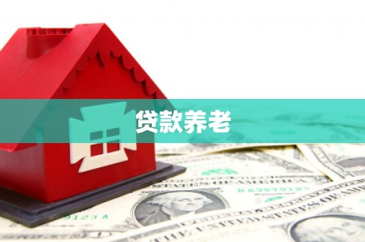 宝应县贷款养老