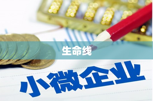 宝应县生命线