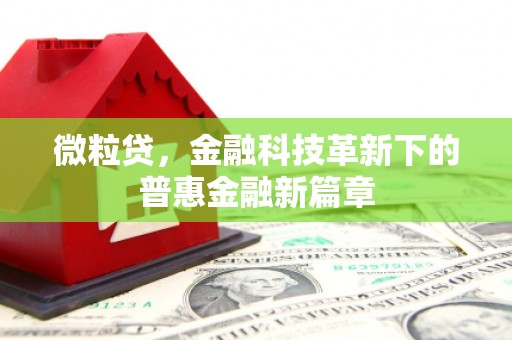 宝应县微粒贷，金融科技革新下的普惠金融新篇章
