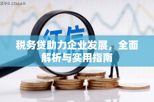 宝应县税务贷助力企业发展，全面解析与实用指南
