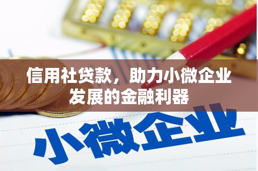 宝应县信用社贷款，助力小微企业发展的金融利器