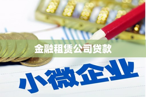 宝应县金融租赁公司贷款