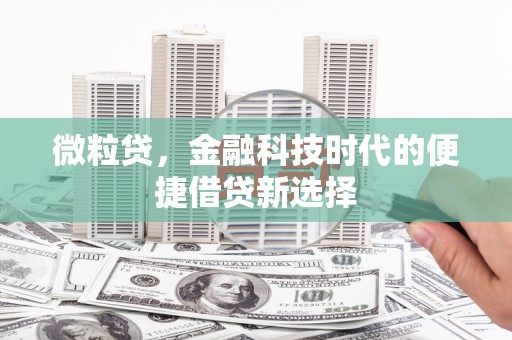 宝应县微粒贷，金融科技时代的便捷借贷新选择