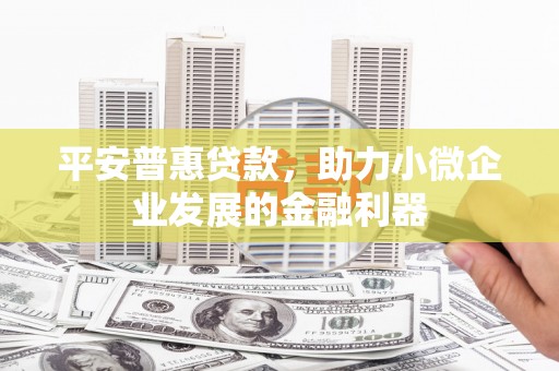 宝应县平安普惠贷款，助力小微企业发展的金融利器