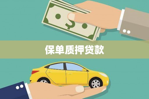 宝应县保单质押贷款