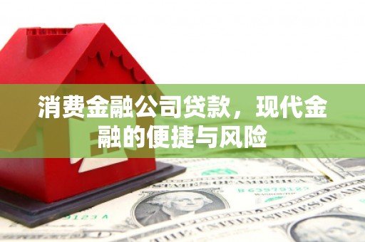 宝应县消费金融公司贷款，现代金融的便捷与风险