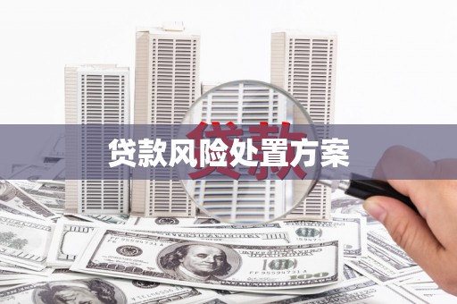 宝应县贷款风险处置方案
