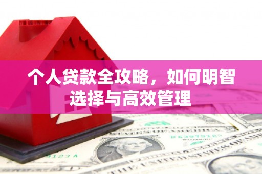 宝应县个人贷款全攻略，如何明智选择与高效管理