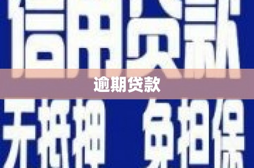 宝应县逾期贷款