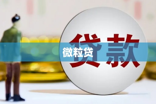 宝应县微粒贷