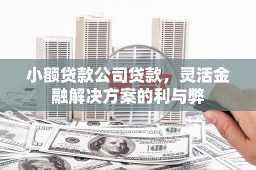 宝应县小额贷款公司贷款，灵活金融解决方案的利与弊